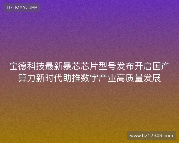 宝德科技最新暴芯芯片型号发布开启国产算力新时代助推数字产业高质量发展